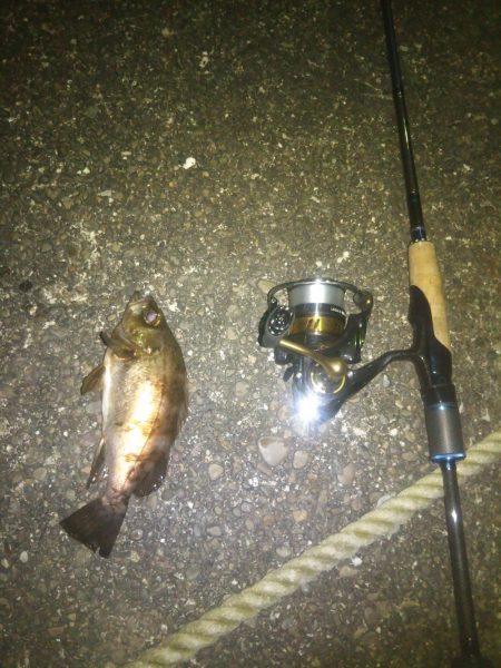 いつもと違う場所で…