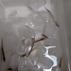 二年振りの余呉湖