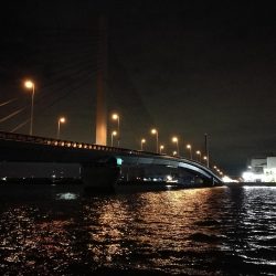 南港カモメ大橋ヘチ釣行 （ついに出た！歳無し！真チヌ 55cm！と ガシラ釣果有り）