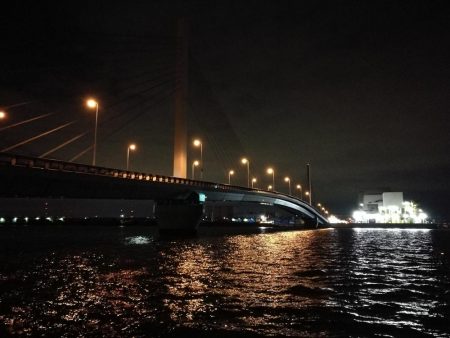 南港カモメ大橋ヘチ釣行 （ついに出た！歳無し！真チヌ 55cm！と ガシラ釣果有り）