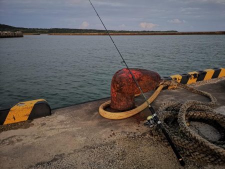 ターポンです。