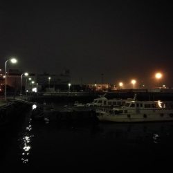 南港フェリーヘチ釣り (好釣果ラッキーデイ! 真チヌ47cmとタケノコ、ハゼ 釣果有り)