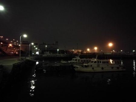 南港フェリーヘチ釣り (好釣果ラッキーデイ! 真チヌ47cmとタケノコ、ハゼ 釣果有り)