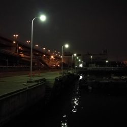 南港フェリーヘチ釣り （気温も釣果も寒い～ｗ 根魚 釣果有り）