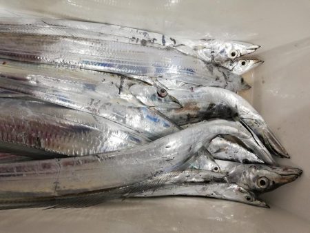 洲本沖でタチウオジギング