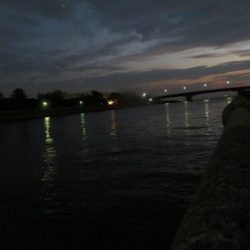 バチは抜けているというものの・・・