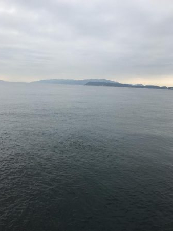 ライトショアジギング