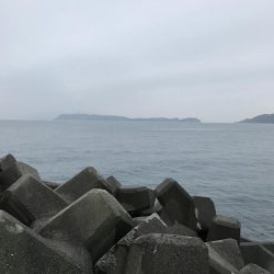 イワシがデカイ