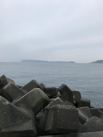 イワシがデカイ