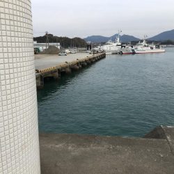 アジサビキの地合いは午後5~6時