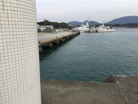 アジサビキの地合いは午後5~6時