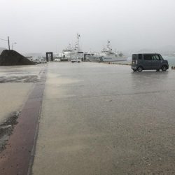 雨中のサビキ釣り