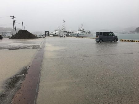 雨中のサビキ釣り