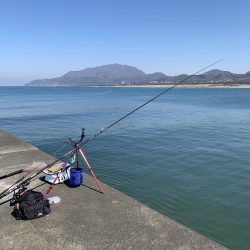 ２月なのにポカポカ釣行