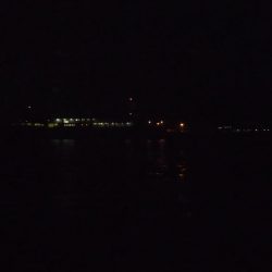 和歌山遠征も。。