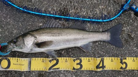 澄み潮クリアウォーター攻略