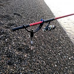 アオリイカ2杯ゲットです!!