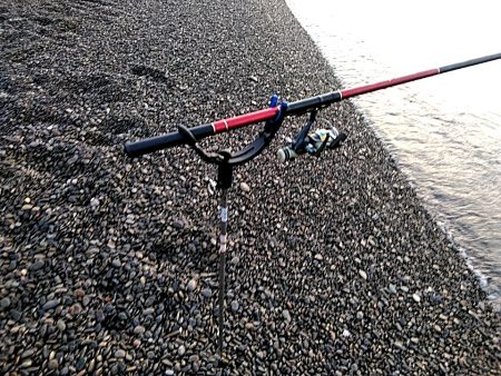 アオリイカ2杯ゲットです!!