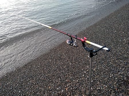 アオリイカ１杯上がりました！！