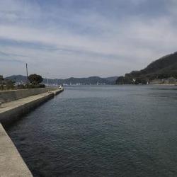 アオリイカを求めて