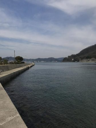 アオリイカを求めて