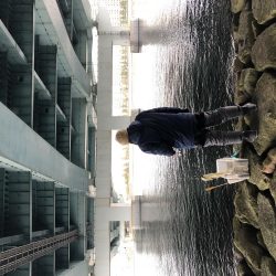 チーバスからのハネ