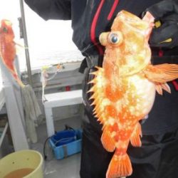根魚釣り