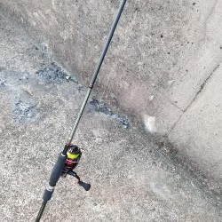 コウイカハンター