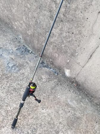 コウイカハンター