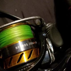 シーバスと思いきや…