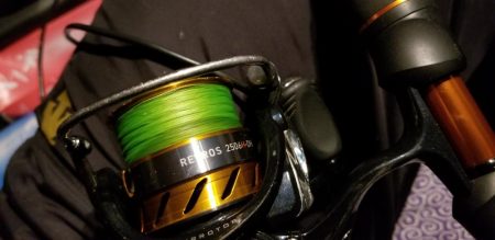 シーバスと思いきや…