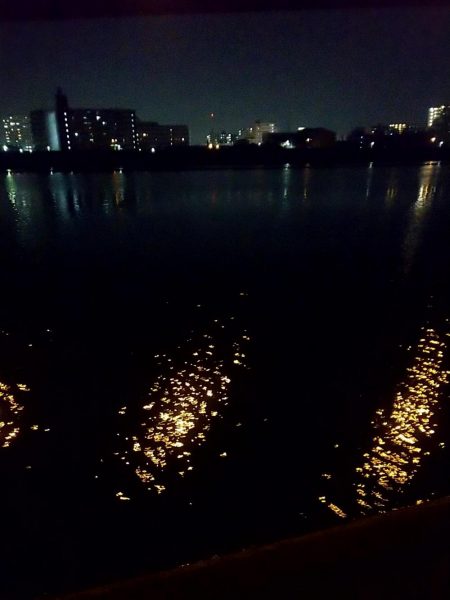 シーバス狙いでチヌ