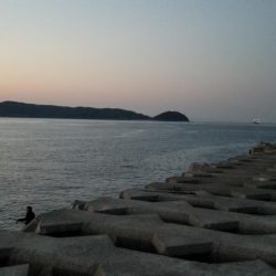 ボラ、ボラ、ボラ、人、人、人