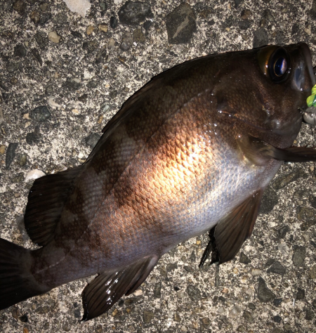 サイズはgood、数はbad。