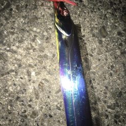 メバリングのはずが…