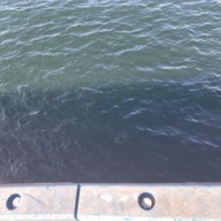 白昼引きずり出した一本