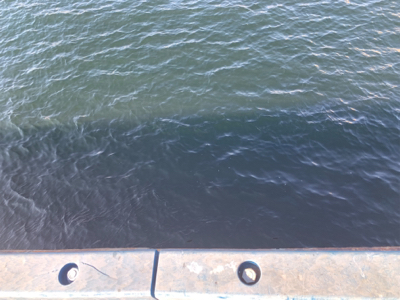 白昼引きずり出した一本