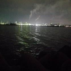 ガシラ釣り　～夕方60分勝負～