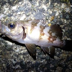 少しパターンが変わった?