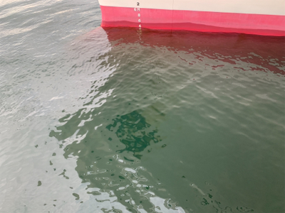 お久シーバス❤️