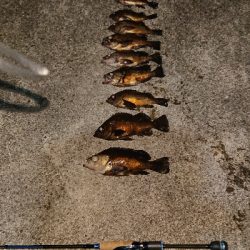 気になるポイントで…