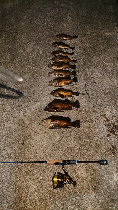 気になるポイントで…