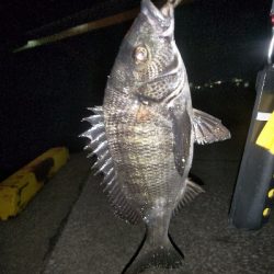 風を避けて移動しながら