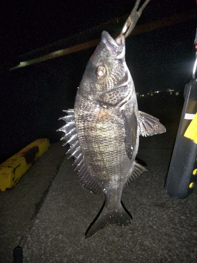 風を避けて移動しながら