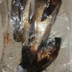 メバリング修行