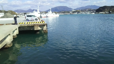 今年初ヒラスズキ！