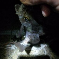 天気良かったので適当に