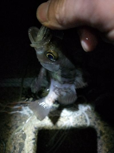 天気良かったので適当に