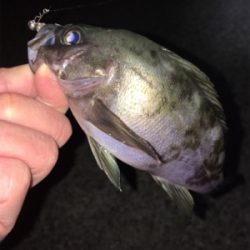 強風でもなんとかキャッチ