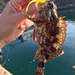 水俣港ライトゲーム